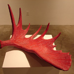 installation view, red Moose antler with very small text on plinth