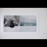 Image of two winter scenes, the left image of a frozen black dress, the right image ice letters DESIRE on a winter shoreline